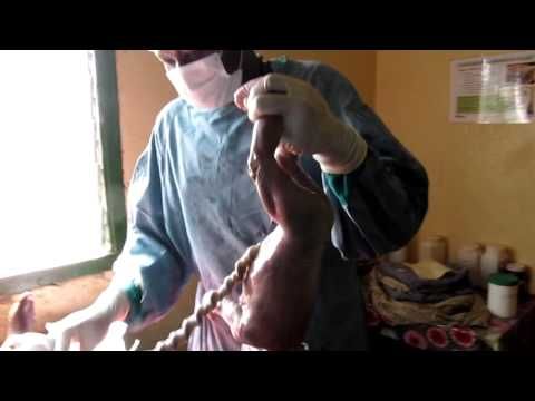 immagine di anteprima del video: Missione di Aita Kwe nella Repubblica Democratica del Congo (2014)